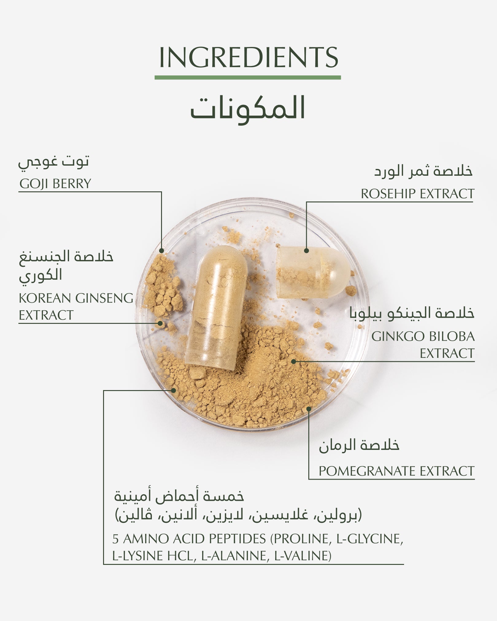 Collagen Capsules